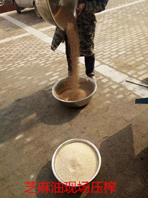 想買臺小型榨油機怕上當，又不知道哪家好？(圖1)