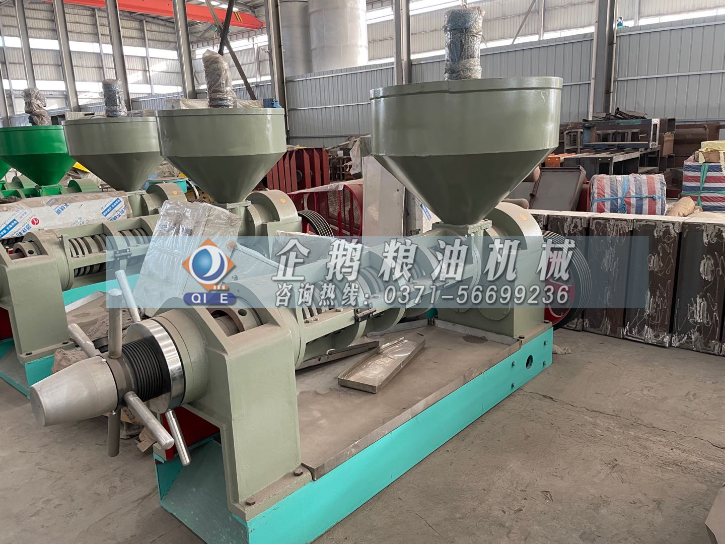 新型榨油機設備.jpg